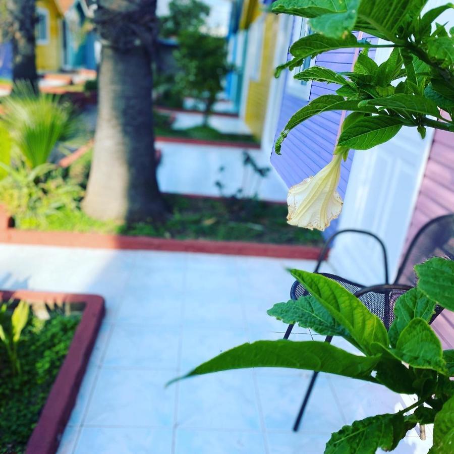 Cuba beach hotel Side Luaran gambar